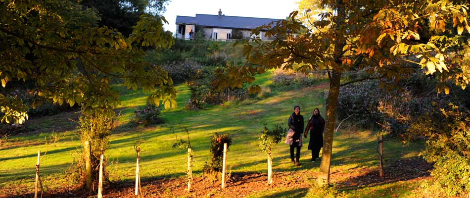 Contact and Booking information for Longlands Cottage in Hay-on-Wye