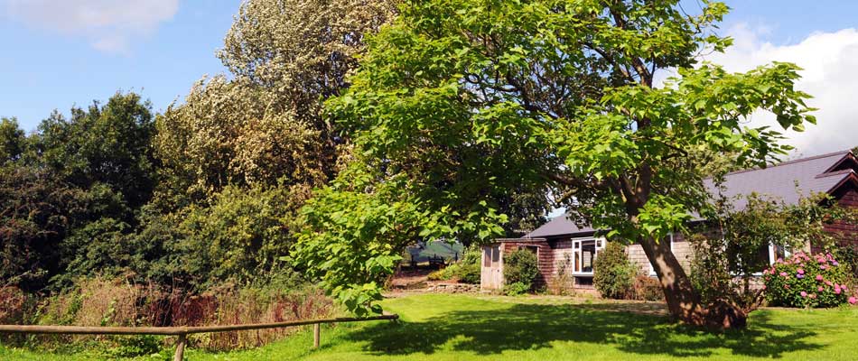 Longlands Cottage in Hay-on-Wye