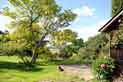 Trees in the garden at Longlands, place to rent in Wales